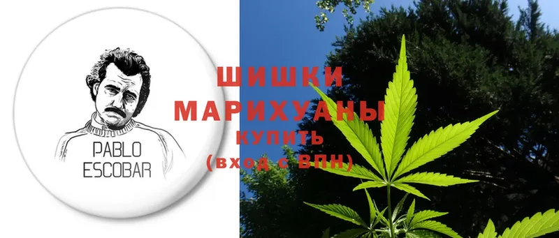 Бошки Шишки THC 21%  Шадринск 